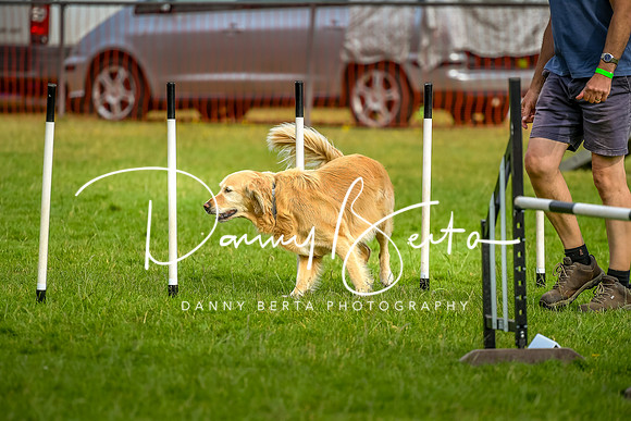 DAN_6142