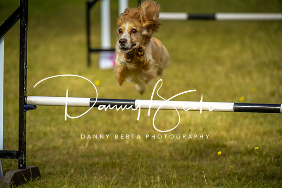 DAN_9057