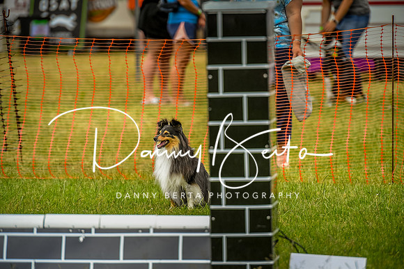 DAN_0616
