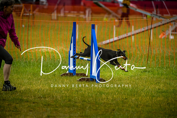 DAN_4115