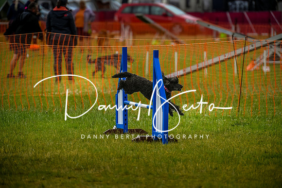DAN_4095