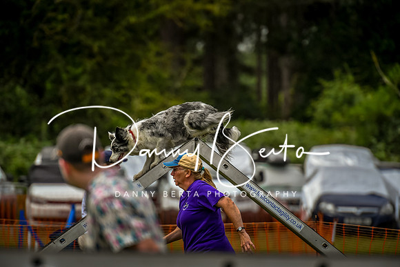 DAN_0177