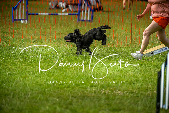 DAN_9061
