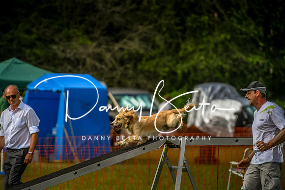 DAN_9043