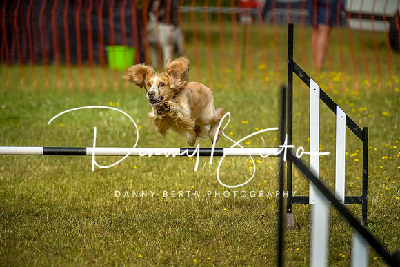 DAN_9055