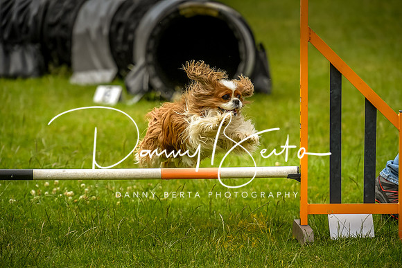 DAN_0601