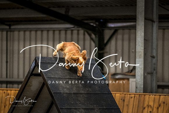 DAN_1811