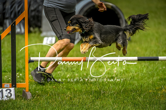 DAN_0154