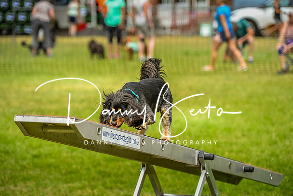 DAN_0142