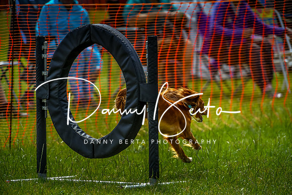 DAN_5715