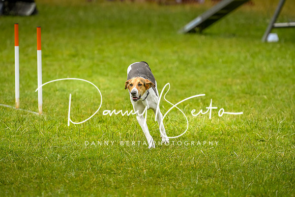 DAN_6864
