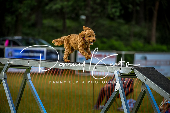 DAN_5672