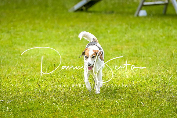 DAN_7343
