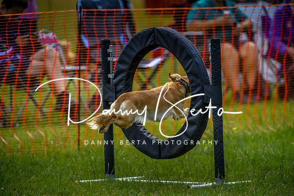 DAN_5721