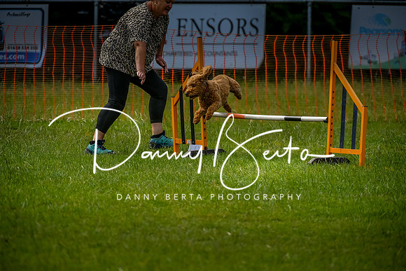 DAN_5666