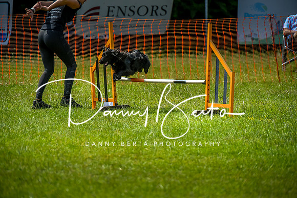 DAN_5635