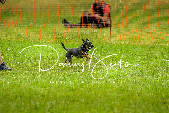 DAN_8803