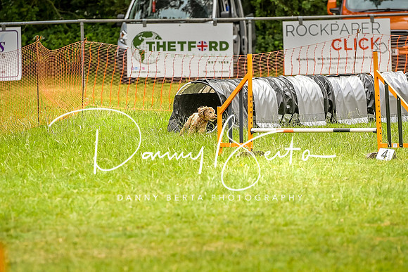DAN_8777