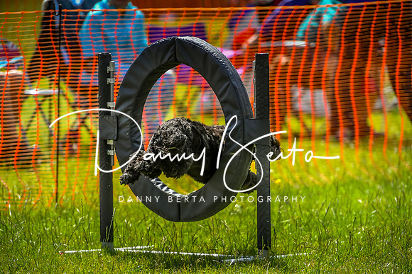DAN_5680