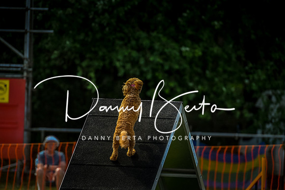 DAN_5664