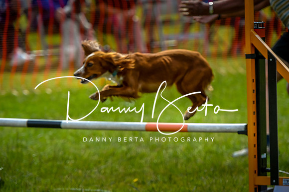 DAN_5713