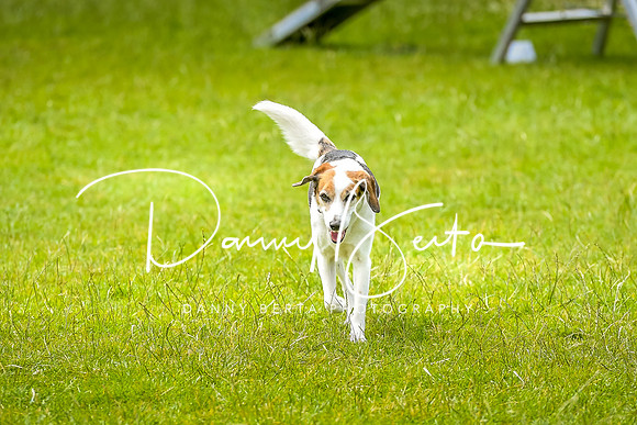 DAN_7342