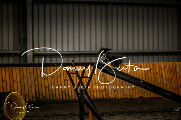 DAN_1388