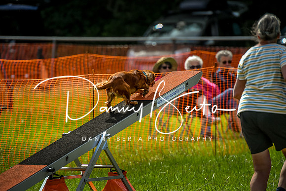 DAN_5716