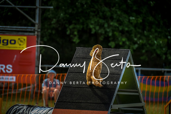 DAN_5663