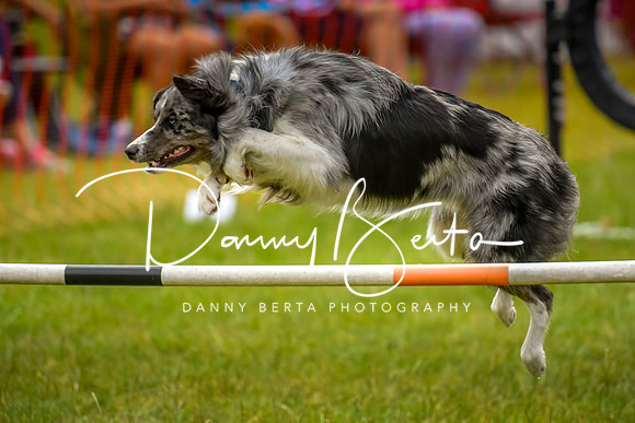 DAN_6884