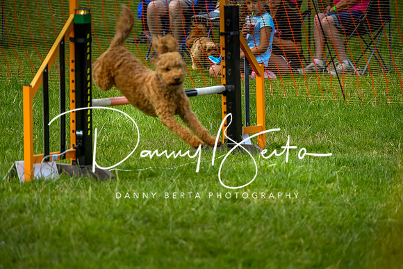 DAN_5676