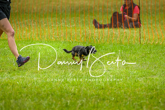 DAN_8802