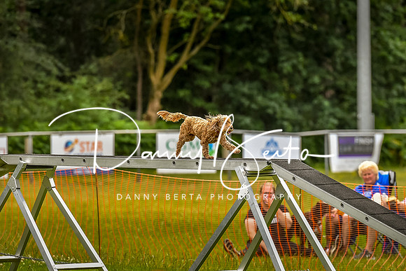 DAN_8781