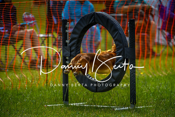 DAN_5714