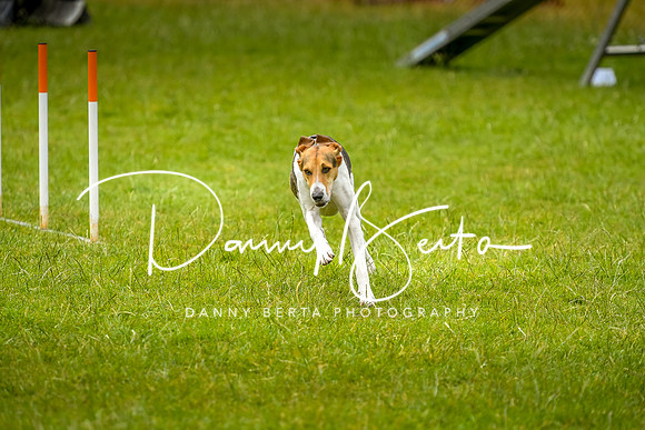 DAN_6863