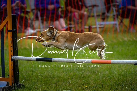DAN_5720