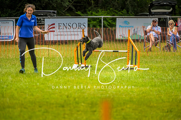 DAN_7308
