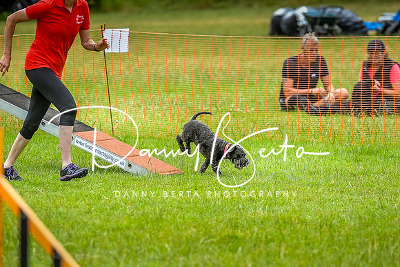 DAN_8762