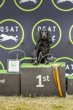 DAN_8603