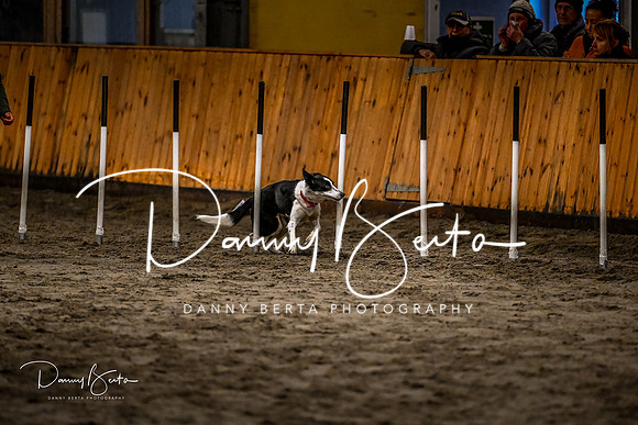 DAN_2015
