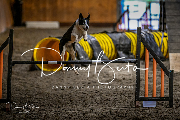 DAN_2021
