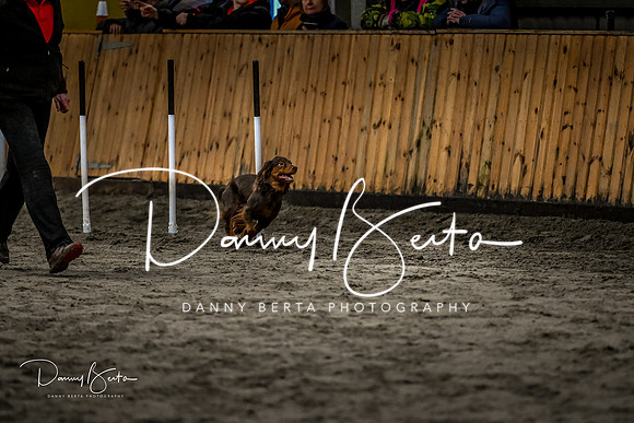 DAN_1797