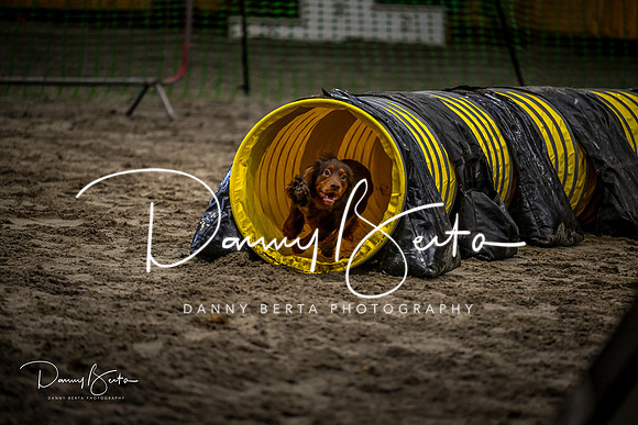 DAN_1416