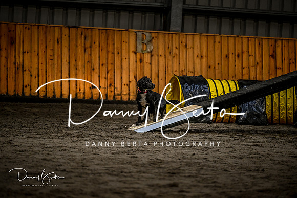 DAN_1391