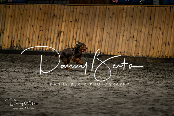 DAN_1798