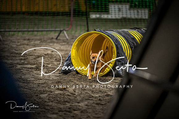 DAN_1383