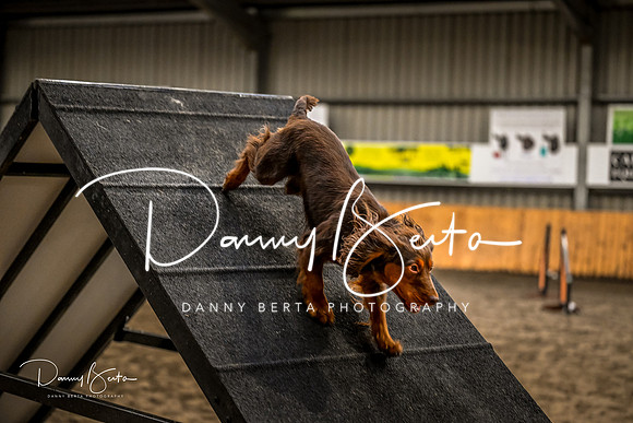 DAN_1418