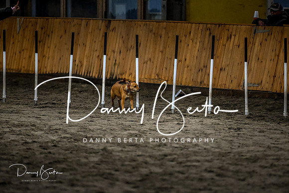 DAN_1820
