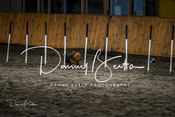 DAN_1832