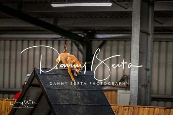 DAN_1824